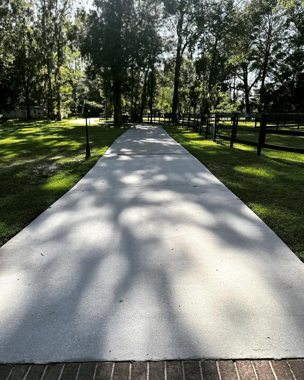The same concrete walkway after pressure washing in the Lowcountry