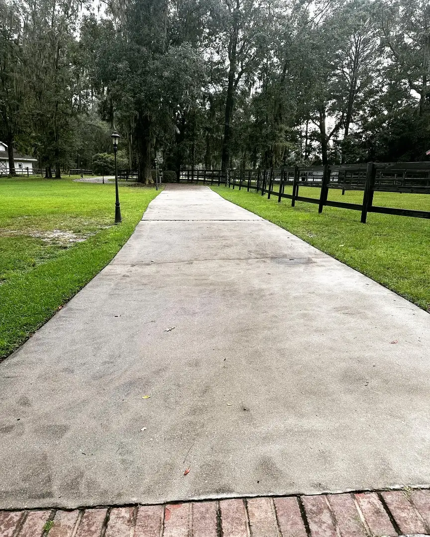 Concrete walkway lined with moss-draped oaks before pressure washing in the Lowcountry